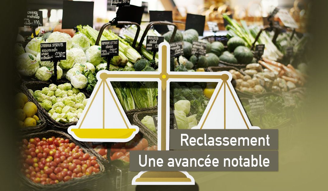 Obligation de reclassement gérants mandataires non salariés